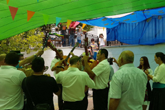 Cruz de Mayo en Las Casas Nuevas